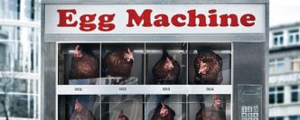 Egg machine avec poules pondeuses