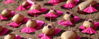 Peter Pink et le street food art