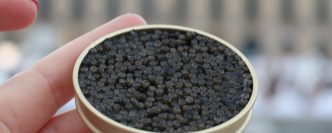 le-caviar-francais-donne-le-ton-7
