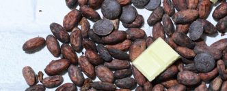 Le chocolat...tout savoir
